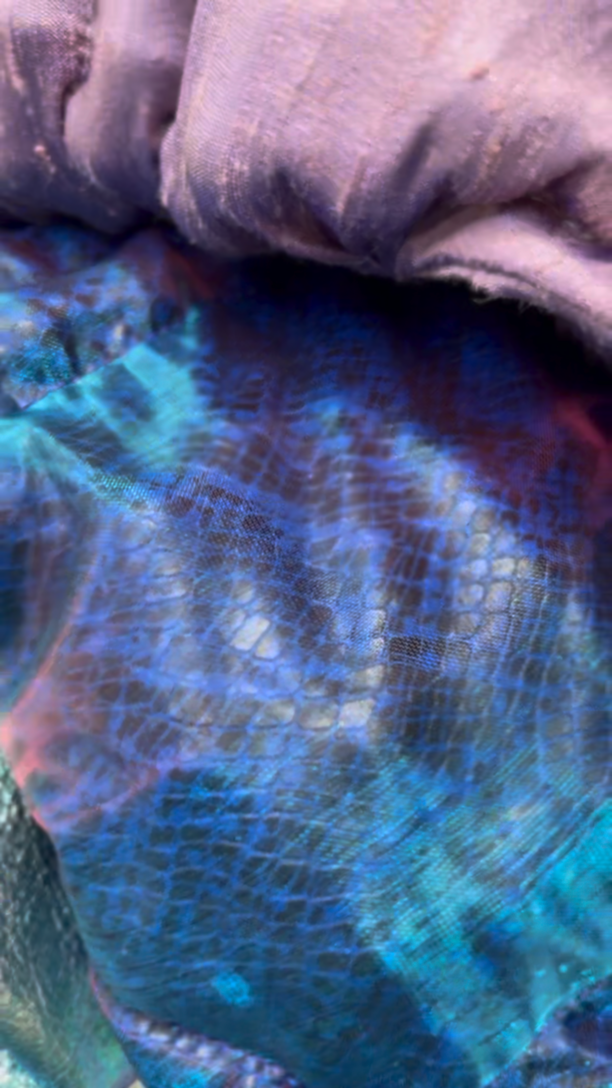 Zero left: Reptile skin (organza/nylon) — Deep Pressure Therapy | Cooling Compression Shark