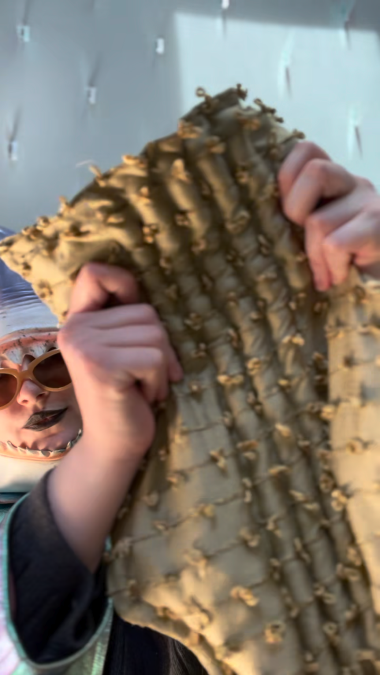 Zero left: Lichen (silk chenille!)— Deep Pressure Therapy | Cooling Compression Shark