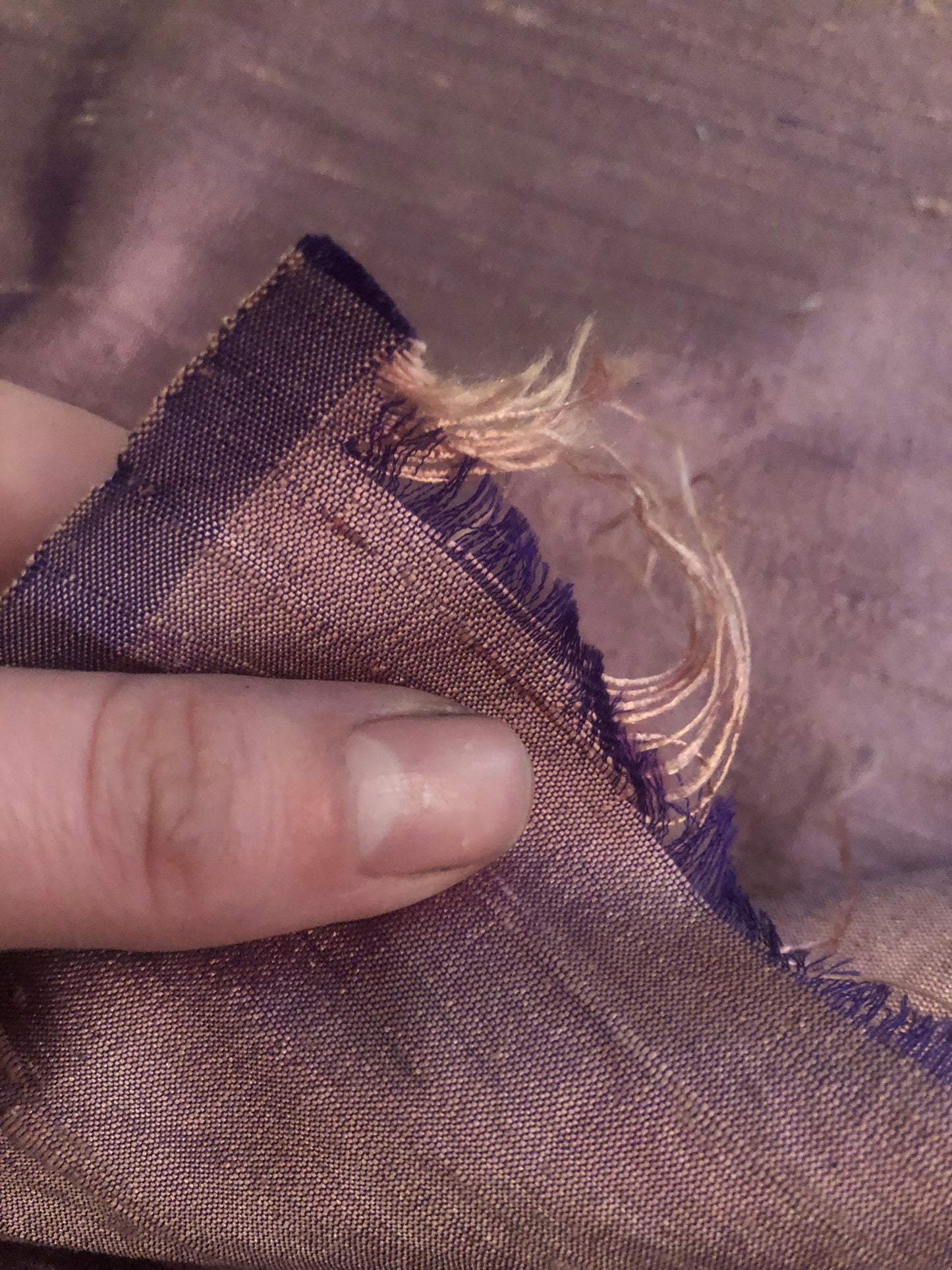 Zero left: Flabellina sea snail(dupioni silk) — Deep Pressure Therapy | Cooling Compression Shark