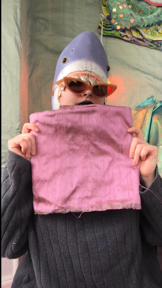 . For those on disability benefits ONLY —Deep Pressure Therapy | Cooling Compression Shark