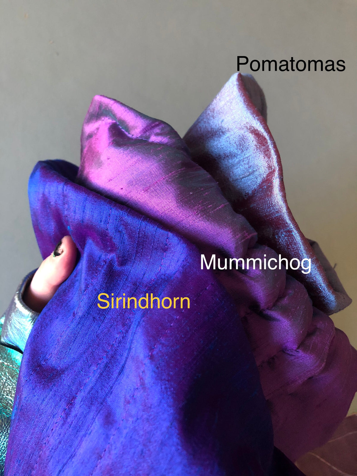 . Coming back! Mummichog minnow (dupioni silk) — Deep Pressure Therapy | Cooling Compression Shark